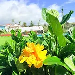 Appartement Marina Mar Ii Premium *