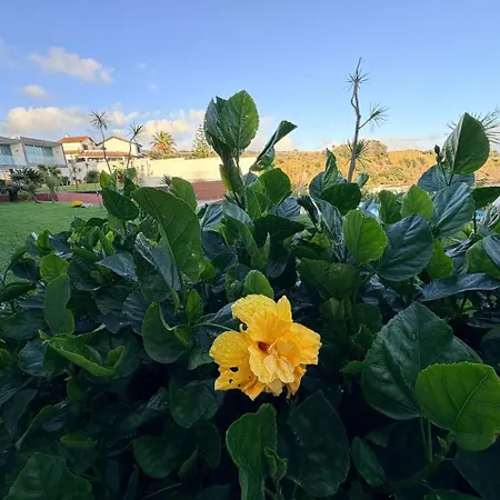 Apartament Marina Mar II Premium