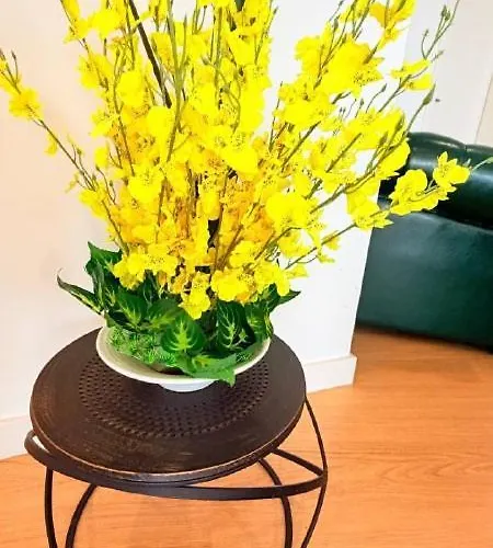 Marina Mar II Premium Apartament *