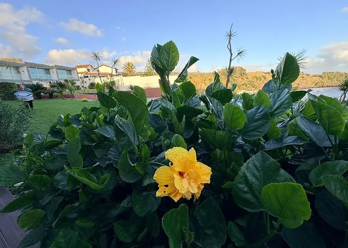 Apartament Marina Mar II Premium