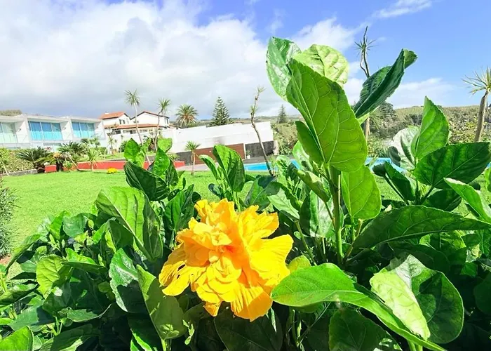 Apartament Marina Mar II Premium *